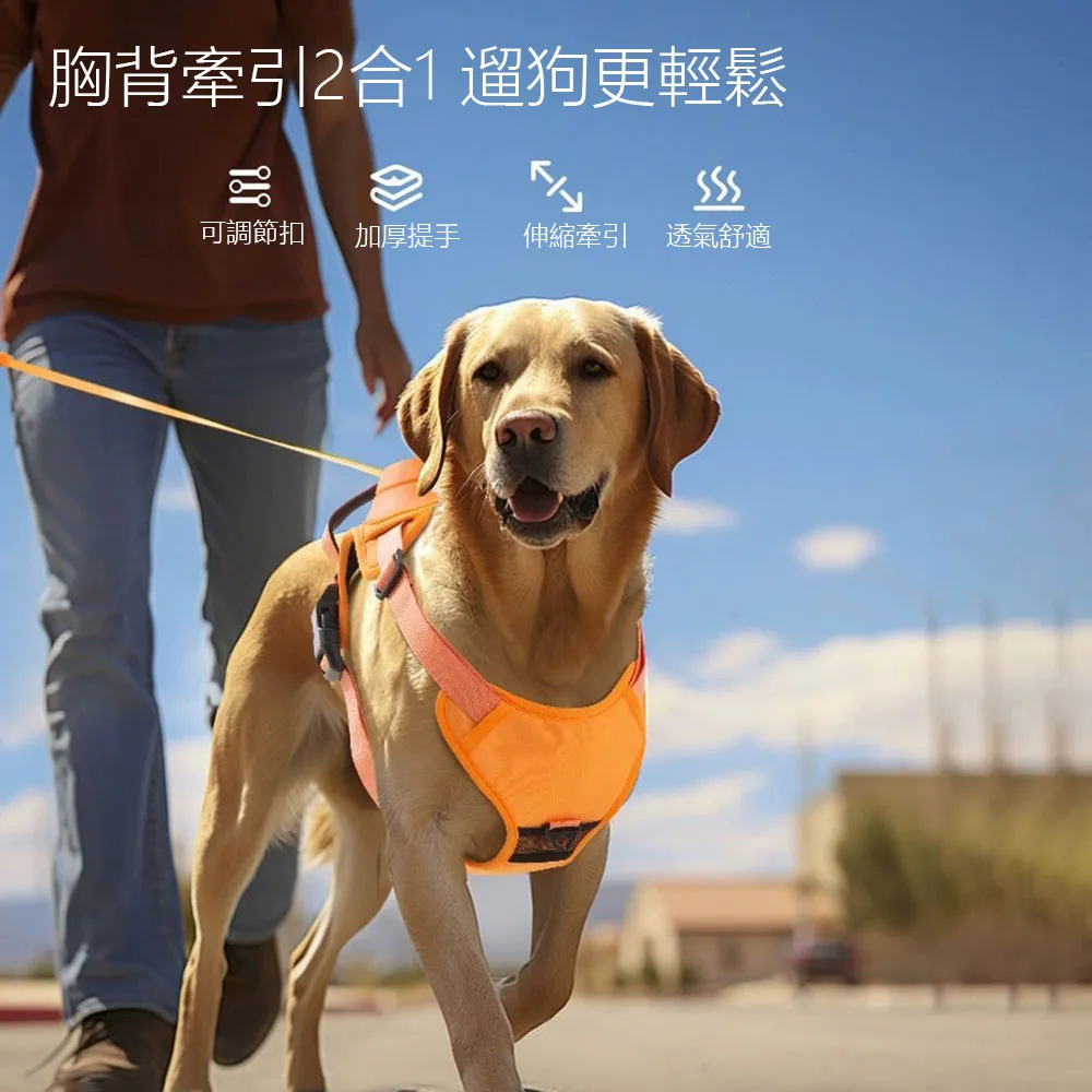 自動伸縮式氨水/尿素脫硝噴槍 SNCR脫硝噴槍 循環流化床脫硝 歷史價格詳細信息