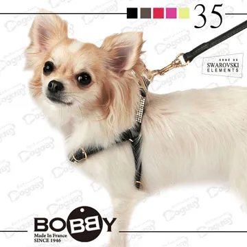 35--日本A號10錢一張---MS68 歷史價格詳細信息