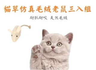 【Cat Person】花朵貓狗寵物防舔咬頭套脖圍-S號 歷史價格詳細信息