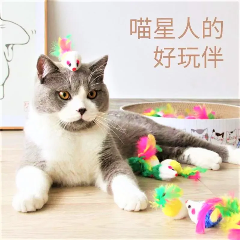 老鼠喝貓奶 (加強功效版)帶人緣愛情花油 龍婆塔 龍婆TA 龍普塔 【泰國精品】已開光加持泰國佛牌 歷史價格詳細信息