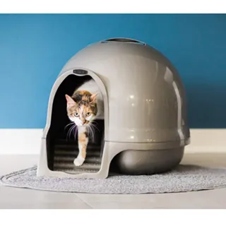 砂金色染發劑2024新款顯白學生流行色奶咖沙金在家染頭發植物純染髮劑【小羊甄選】 歷史價格詳細信息