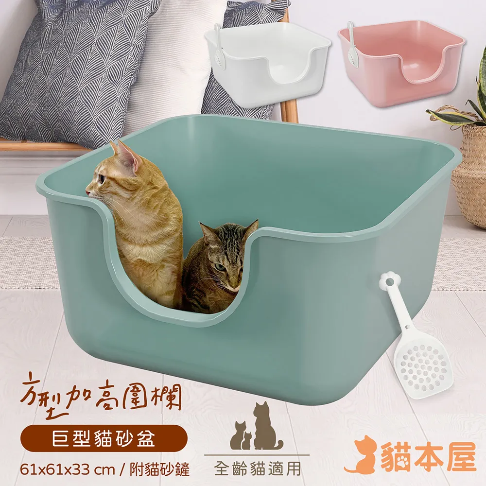 貓本屋 加大XL號 立式L型貓抓板(附鈴鐺球) 歷史價格詳細信息