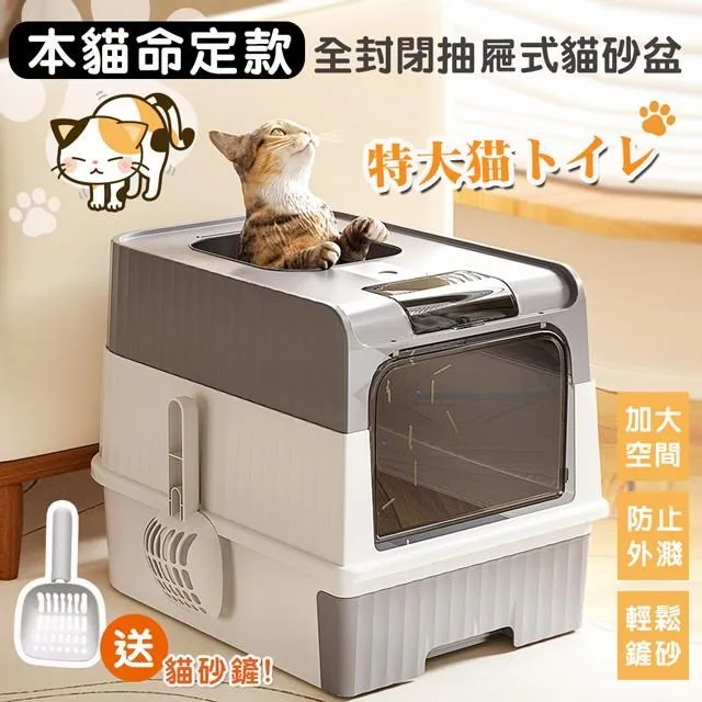 【shopping go】貓咪百變趣味軌道球玩具 貓玩具 瓦楞紙 貓抓板 歷史價格詳細信息