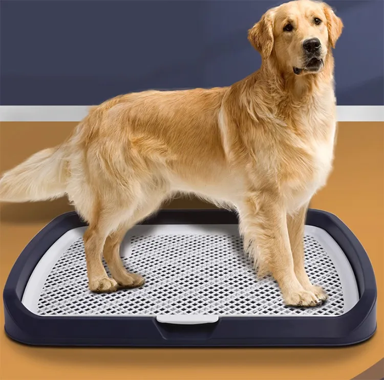 DiDimo多功能煮蛋器優格機LG-901(煮蛋/蒸面食/煮面食/煮蛋羹)110V 歷史價格詳細信息