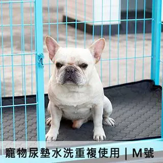 寵物可水洗隔尿墊 寵物可機洗 狗尿布墊 超環保 可水洗重複使用 兔用品 寵物尿墊 保潔墊 寵物訓練神器 汪星人 毛孩尿墊 歷史價格詳細信息