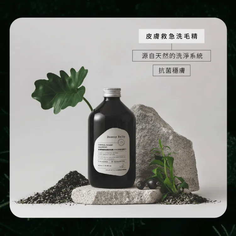 精品Bello寵物推車狗狗貓咪分離籠外出中小型輕便可折疊手推車寵物車 歷史價格詳細信息