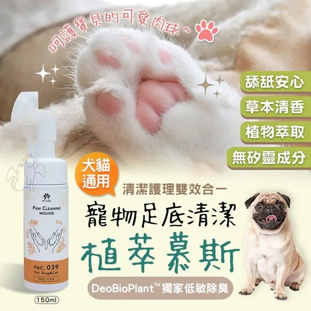 【萌貝貝】2L寵物不鏽鋼半透明自動續水飲水機 貓咪飲水器(貓狗均可 循環喝水機 喝水碗 活水衛生健康) 歷史價格詳細信息