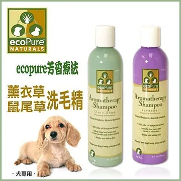 Ecopore透氣膠帶 2.5cm*9.2m 白色 (12入/盒) 歷史價格詳細信息