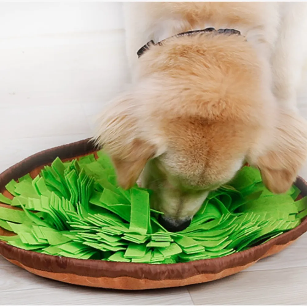 寵物聞嗅墊咪益智漏食的毯子趣味解壓解悶消耗精力寵物玩具 歷史價格詳細信息