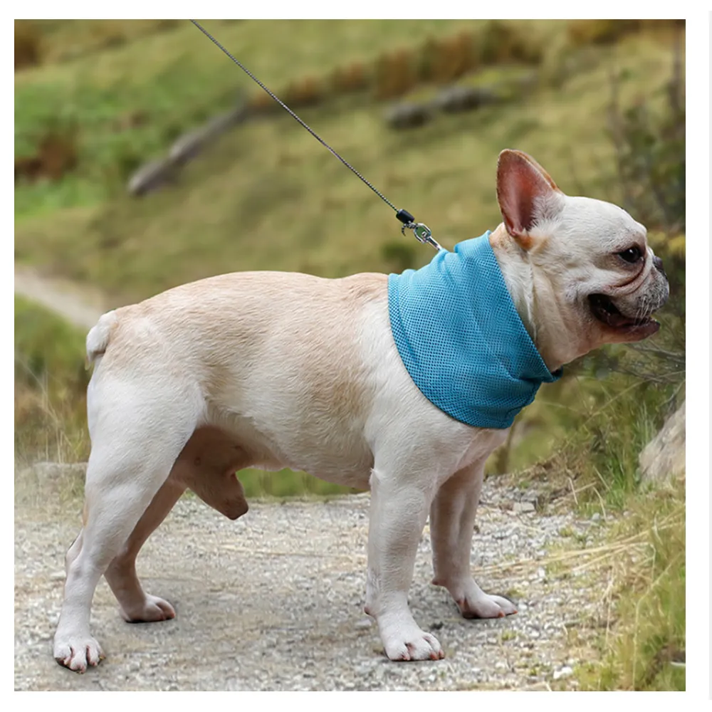 【寵物愛家】貓犬用品秋冬溫馨保暖帶枕寵物窩 歷史價格詳細信息