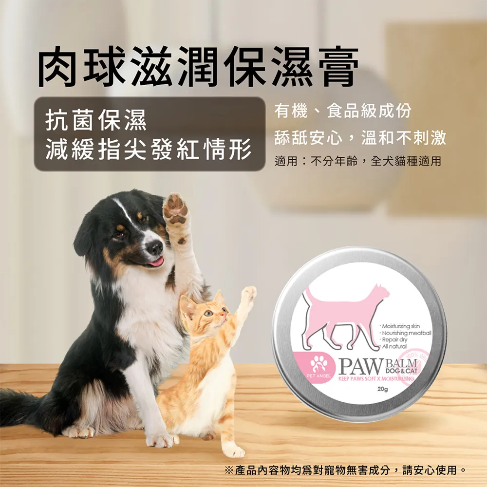 毛天使 護理膏旅行裝 3款隨機1瓶 歷史價格詳細信息