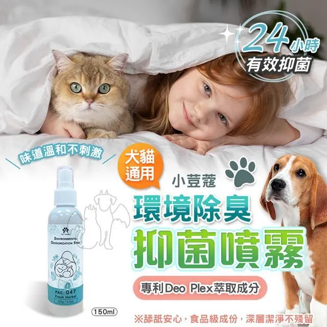 【毛天使】寵物除毛針梳(犬貓通用)寵物美容梳毛刷/除毛梳/廢毛梳/一鍵除毛  PET ANGEL官方直營 歷史價格詳細信息