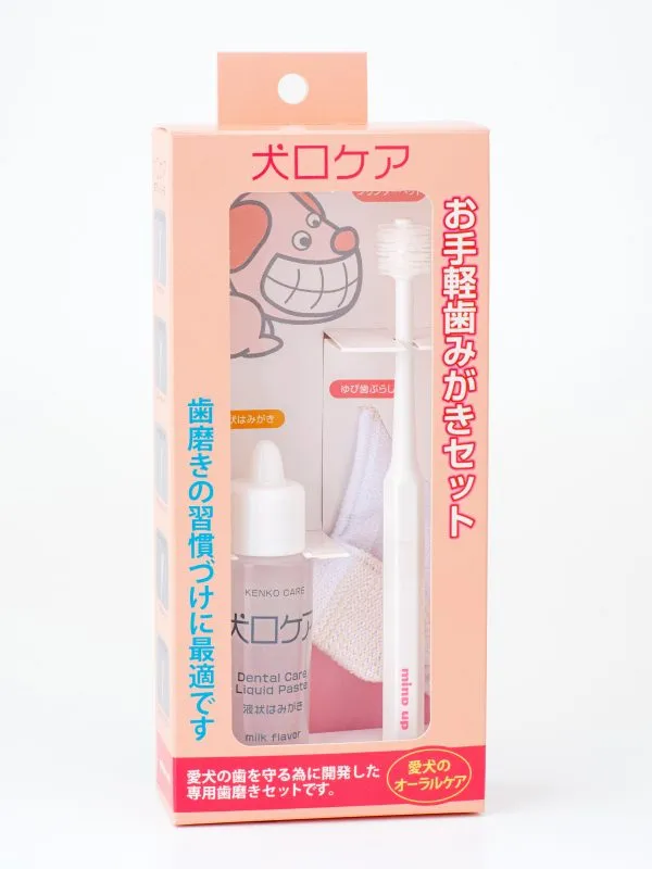 日本Mind Up《牙結石去除工具(平狀)》B01-013 去除牙垢結石的好工具『WANG』 歷史價格詳細信息