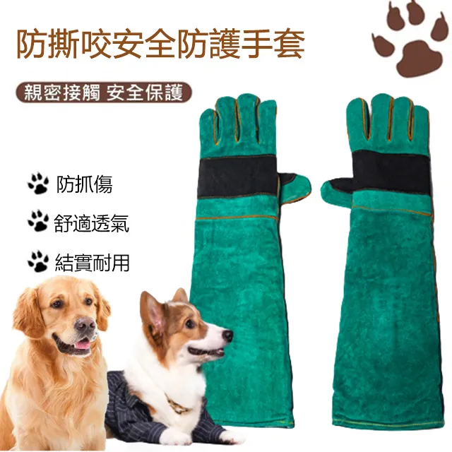 加厚寵物訓練吸水尿墊 尿布 尿片 隔尿 一次性環保(超大號XL) 歷史價格詳細信息