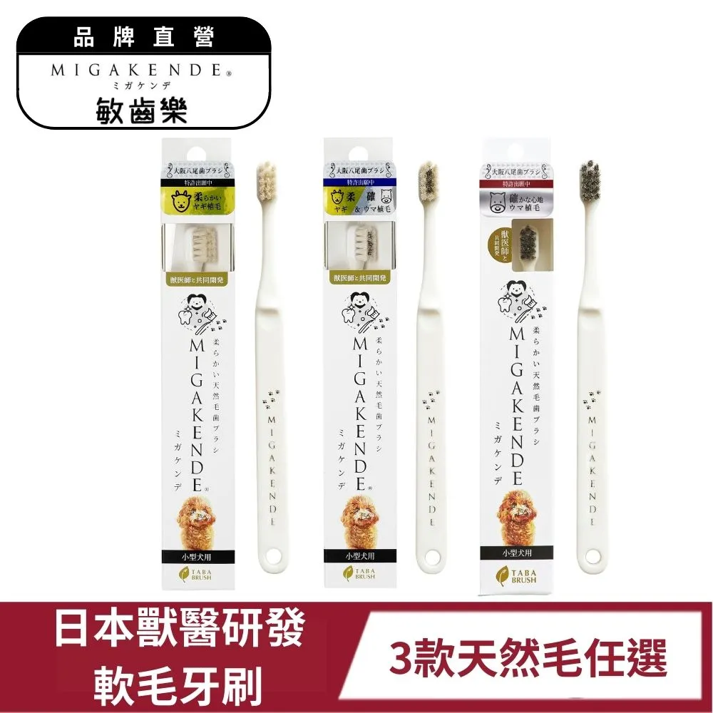 MIGAKENDE敏齒樂*｜超軟毛牙刷《寵物牙刷類銷售NO.1》貓咪牙刷 狗狗牙刷 歷史價格詳細信息