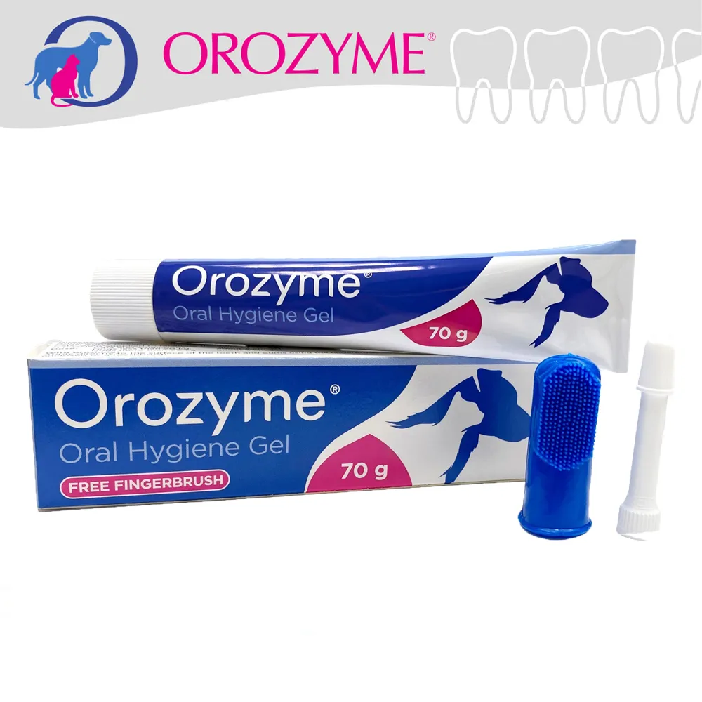 【LOGIS】歐風雕花鑄鐵鞦韆(搖椅 鞦韆 休憩椅) 歷史價格詳細信息