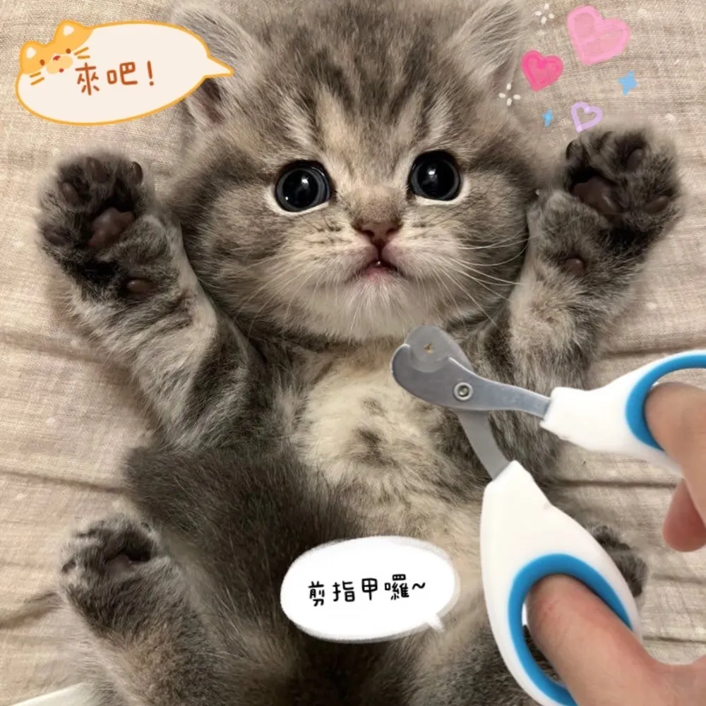 定制圓孔無邊框洞洞板家用廚房收納配件飾品展示五金工具掛板~熱賣款！-規格不用 價格不同 歷史價格詳細信息