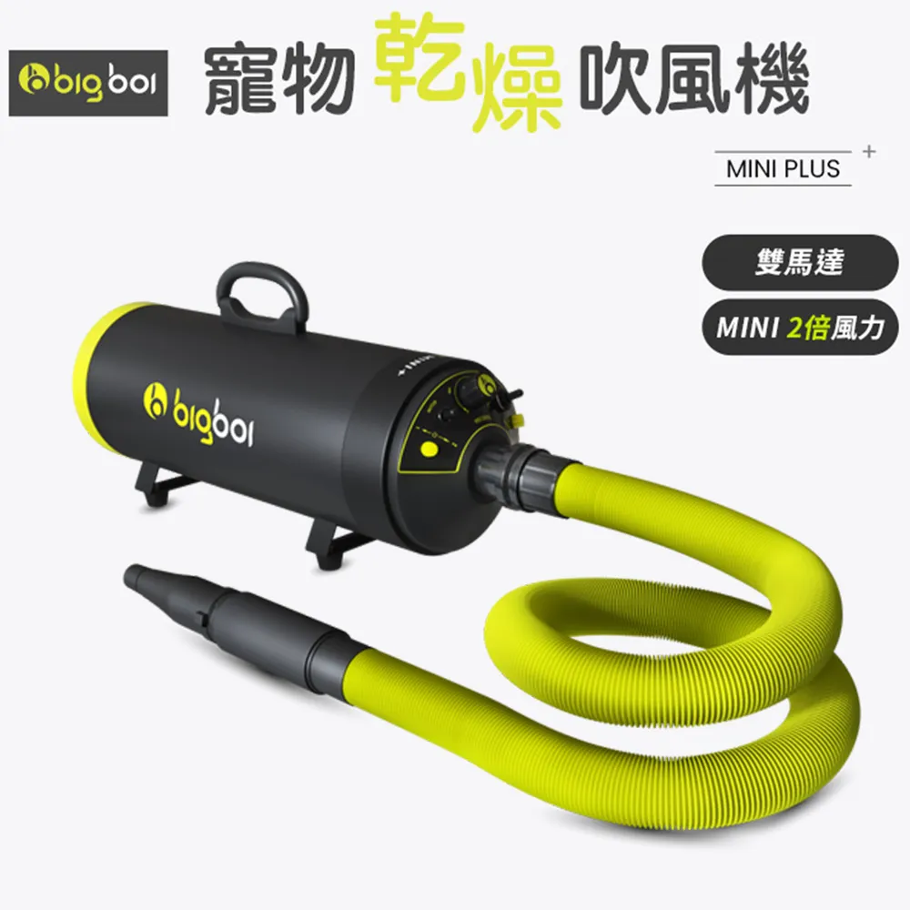 乾燥吹風機 澳洲品牌 bigboi MINI 低噪音 大風力 大風速 恆溫設計 寵物 兩段溫控 歷史價格詳細信息