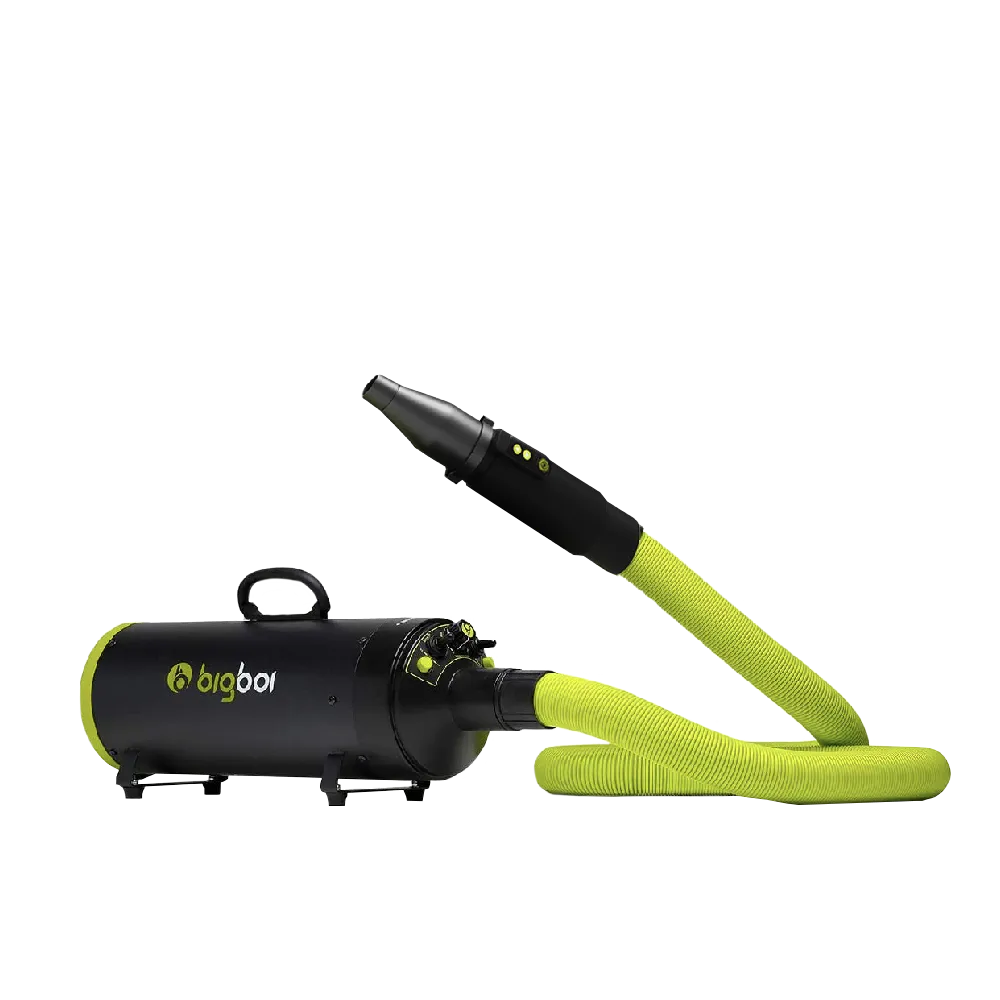 乾燥吹風機 澳洲品牌 bigboi MINI 低噪音 大風力 大風速 恆溫設計 寵物 兩段溫控 歷史價格詳細信息