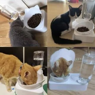 【珍愛頌】LB011 寵物餵食器 貓臉型 價格比較,價格查詢,歷史價格詳細信息