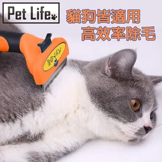 Pet Life 寵物遮陽/防曬棒球帽/鴨舌帽/貓狗造型配件 紅色Ｌ 歷史價格詳細信息
