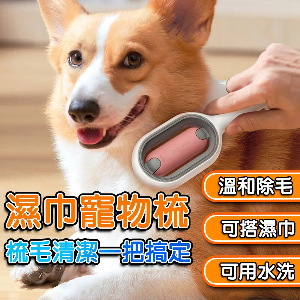 【除毛梳】可用水洗 除毛清潔兩用梳 濕巾除毛梳 價格比較,價格查詢,歷史價格詳細信息