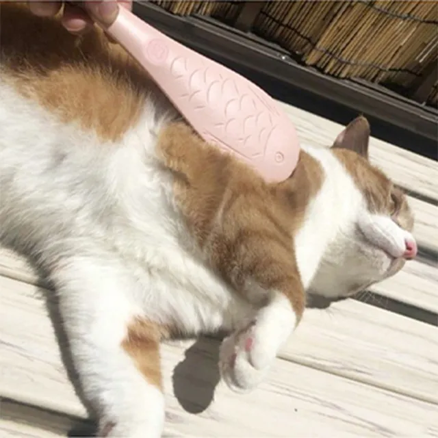 等待貓船型襪 【現貨】卡通襪/女襪/船形襪/短襪/貓咪/型號:AMG802【FAV】 歷史價格詳細信息