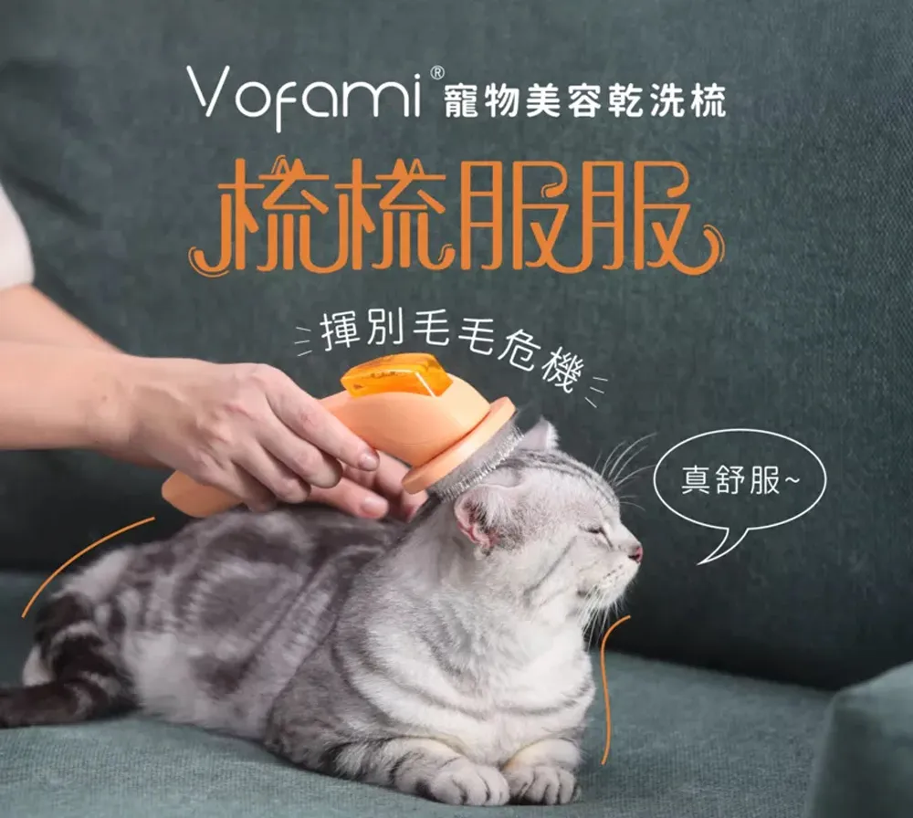 加購【3入組】Brother TZe-231 護貝標籤帶 ( 12mm 白底黑字 ) 歷史價格詳細信息