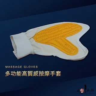 我塑我形 舒適 按摩 清潔 手套  (一入) 手套 按摩 清潔 寵物 按摩手套 清潔手套 寵物手套 理毛 梳毛 歷史價格詳細信息