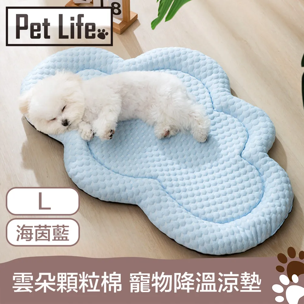 Pet Life 防潮透氣可拆洗寵物木床/貓窩/狗窩 原色小熊款 L號 歷史價格詳細信息