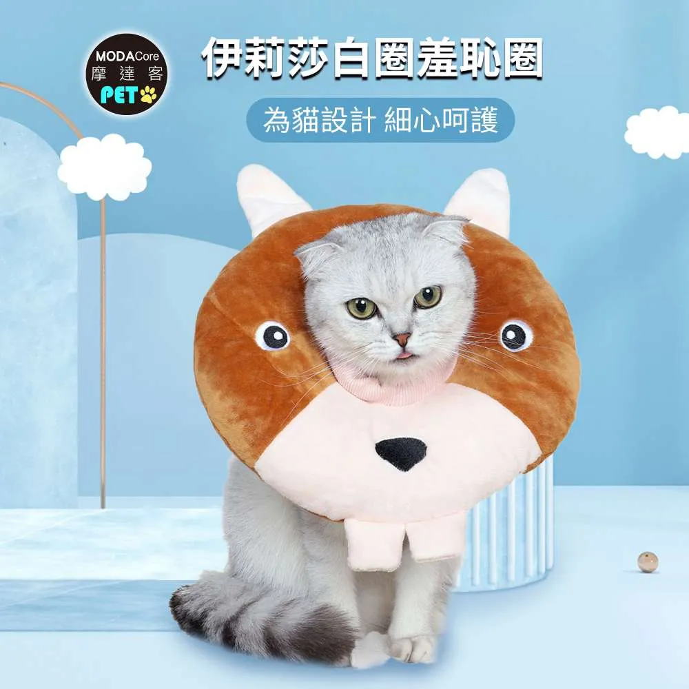 伊麗莎白圈軟防舔咬恥辱頸圈狗狗羞恥項圈法斗脖圈貓脖子狗狗頭套 歷史價格詳細信息