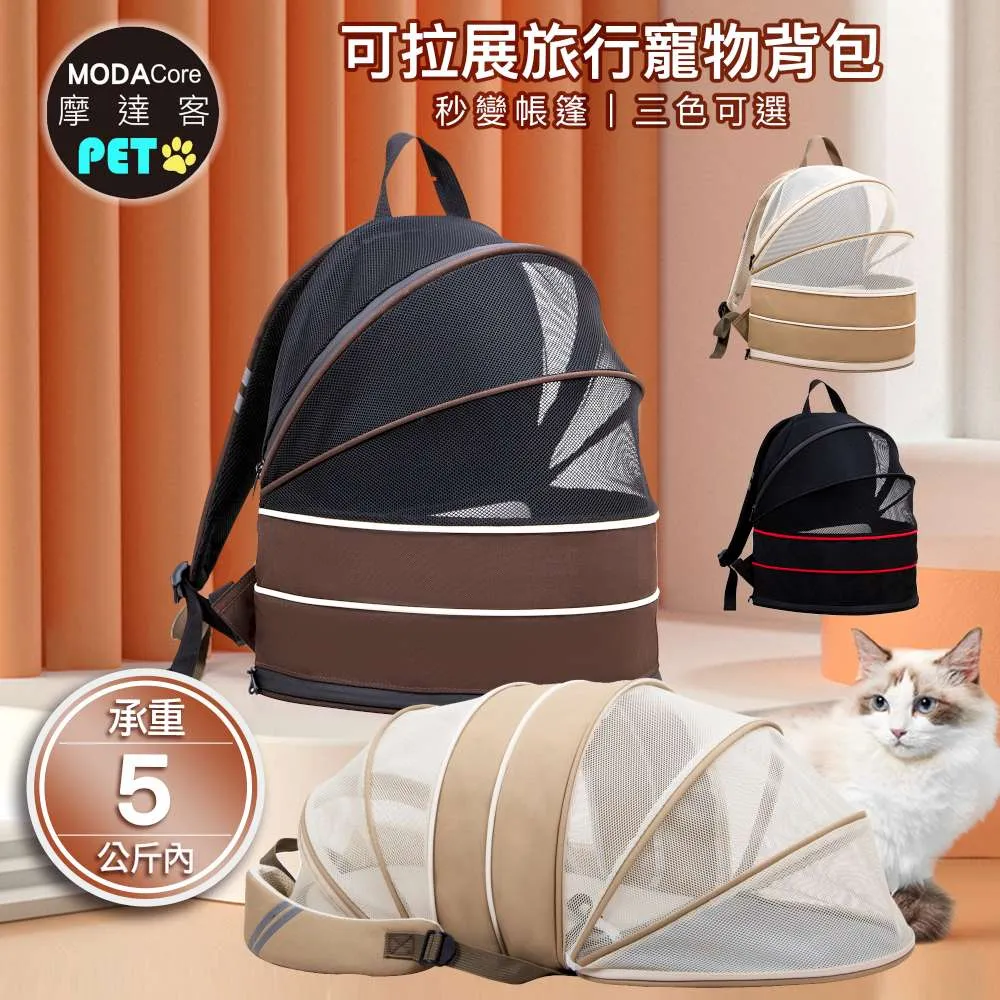 （預購）展覽藝術海報 歷史價格詳細信息