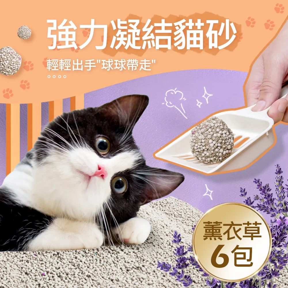 毛孩王 凝結式貓砂 粗砂/細砂 5KG 六款可選 新舊包裝混合出貨 貓咪 寵物 蝦皮超市 現貨 歷史價格詳細信息