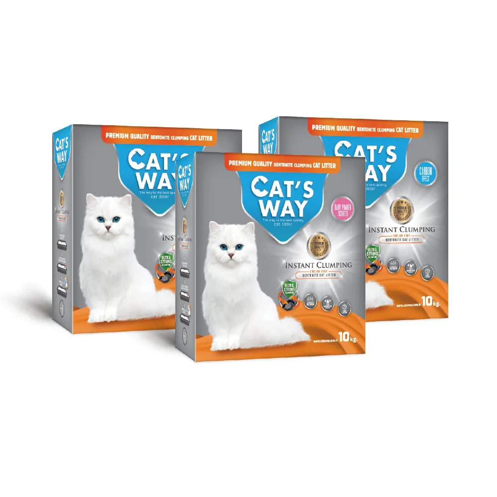 CATS 貓 音樂劇 韋伯首部音樂劇 DVD專輯 二手 C43 歷史價格詳細信息