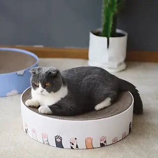 【喵仙兒】嫩嫩貓爪 中型貓抓窩-Medium 歷史價格詳細信息