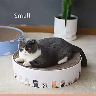 smally兒童雨鞋 男女童橡膠防滑雨靴 時尚親子雨鞋水鞋 歷史價格詳細信息