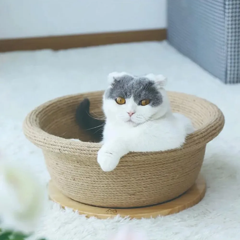 喵仙兒 FD.Cattery 大U型瓦楞紙抓板『WANG』 歷史價格詳細信息