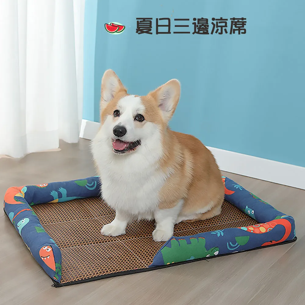 【寵物愛家】春夏可拆洗日式T型和風涼蓆 歷史價格詳細信息