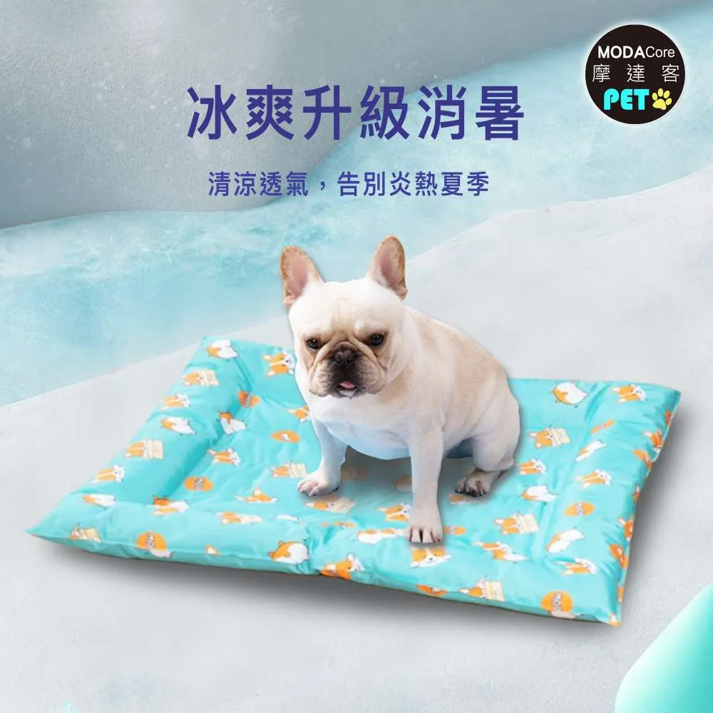 夏日消暑聖品 - 龍井冰果棒12入裝 歷史價格詳細信息