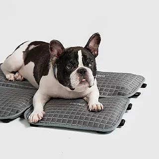 SPUTNIK｜機能貓砂盆-灰 歷史價格詳細信息