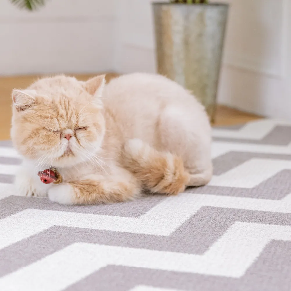 【Nice U】寵物防護地墊－經典北歐 (SOLO系列) 歷史價格詳細信息