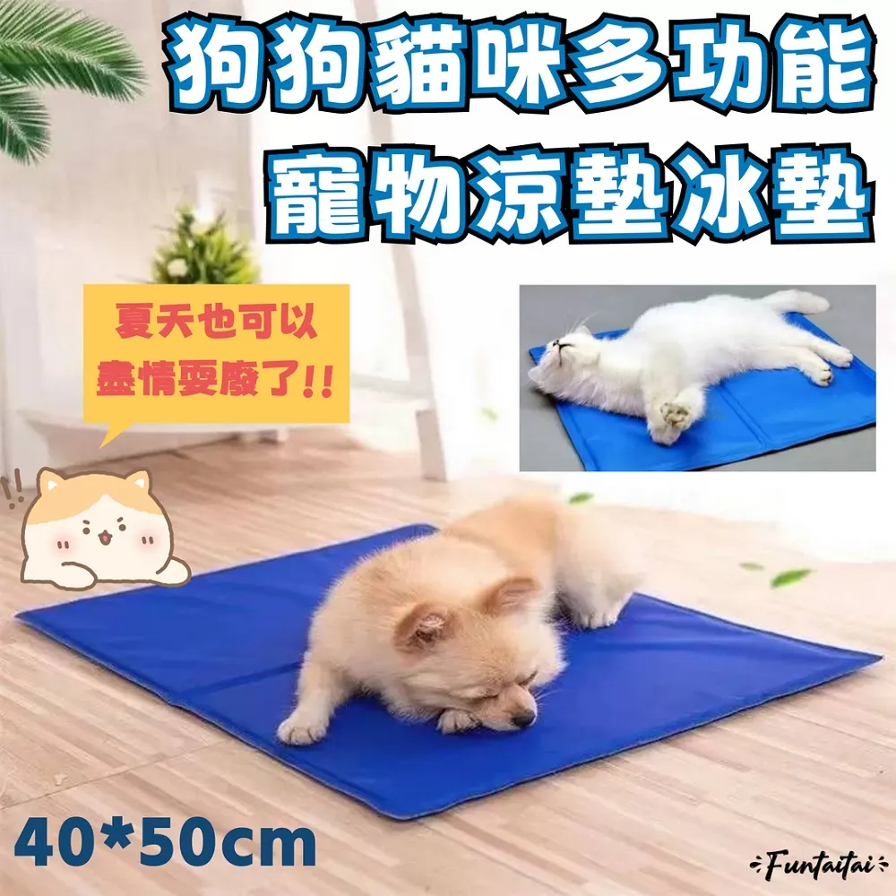 【Funtaitai】貓爪足底按摩腳踏滾輪器 歷史價格詳細信息