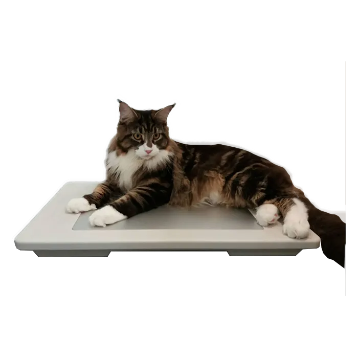 寵物冰涼墊 寵物保潔墊 寵物冰墊 寵物降溫 狗涼墊 貓咪涼 歷史價格詳細信息