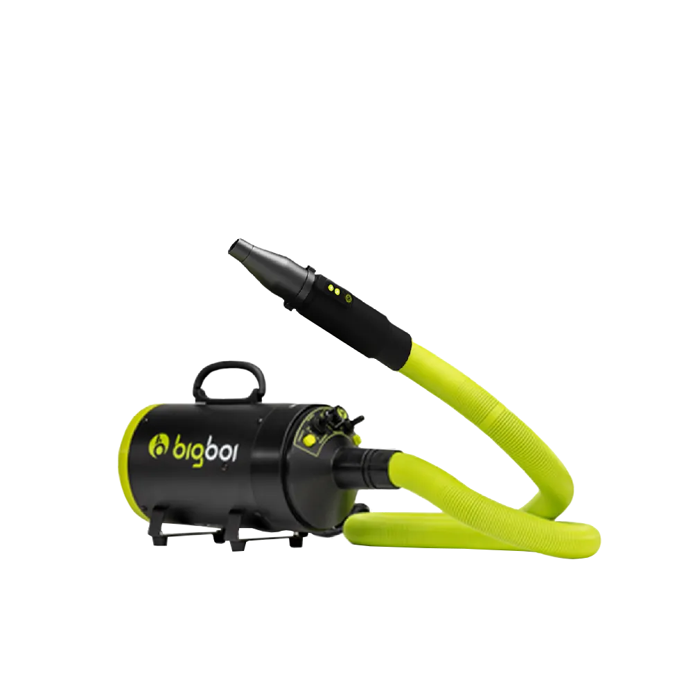 乾燥吹風機 澳洲品牌 bigboi MINI 低噪音 大風力 大風速 恆溫設計 寵物 兩段溫控 歷史價格詳細信息