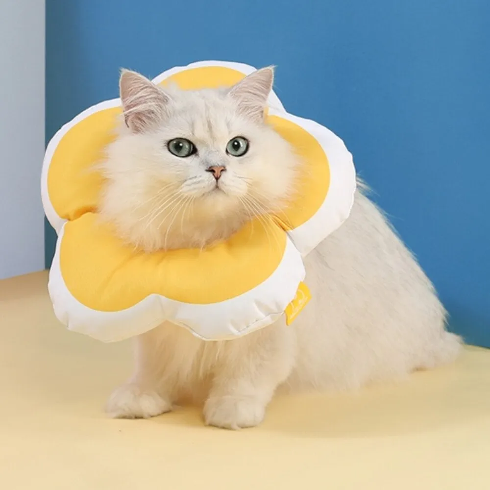 寵物進出紗窗【貓咪小型犬都OK】寵物自動門 貓咪門窗 寵物用品 歷史價格詳細信息