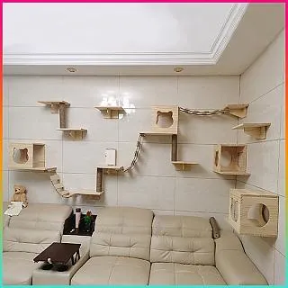 【跳跳球】貓咪玩具 逗貓球 貓玩具 懶人逗貓 貓狗玩具 HAPDC2 歷史價格詳細信息