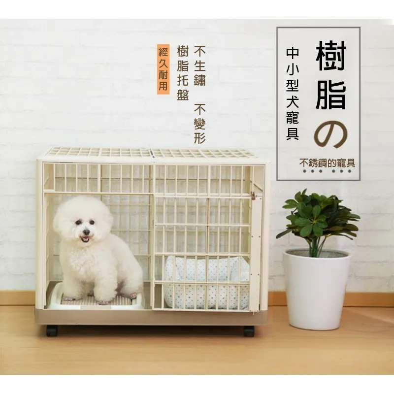 品質日系馬卡龍彩色塗鴉帆布包百搭超萌可愛少女燙鑽KT喵雙肩揹包書包 歷史價格詳細信息