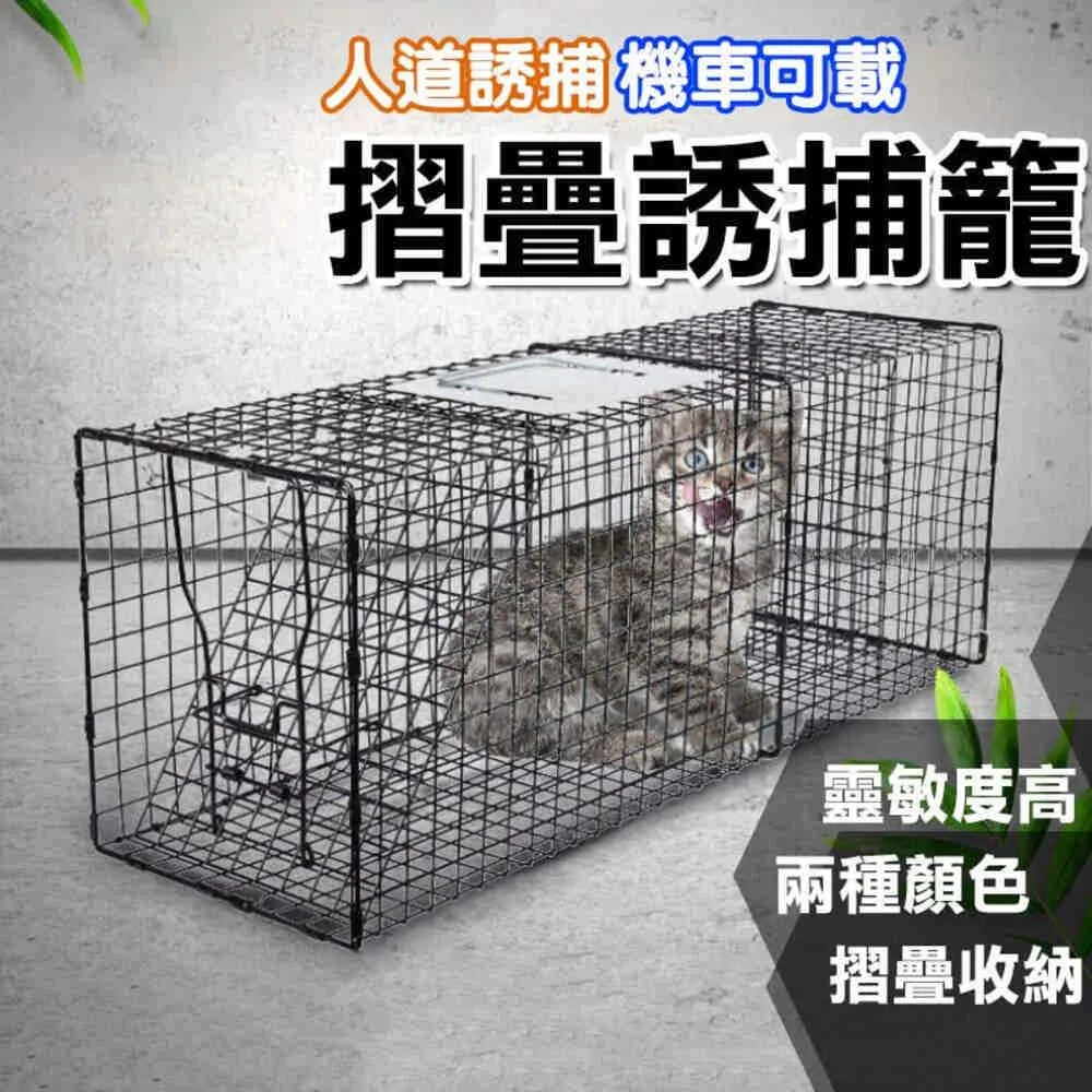 捕鼠籠 誘捕籠 捕鼠器 捕鼠夾 歷史價格詳細信息