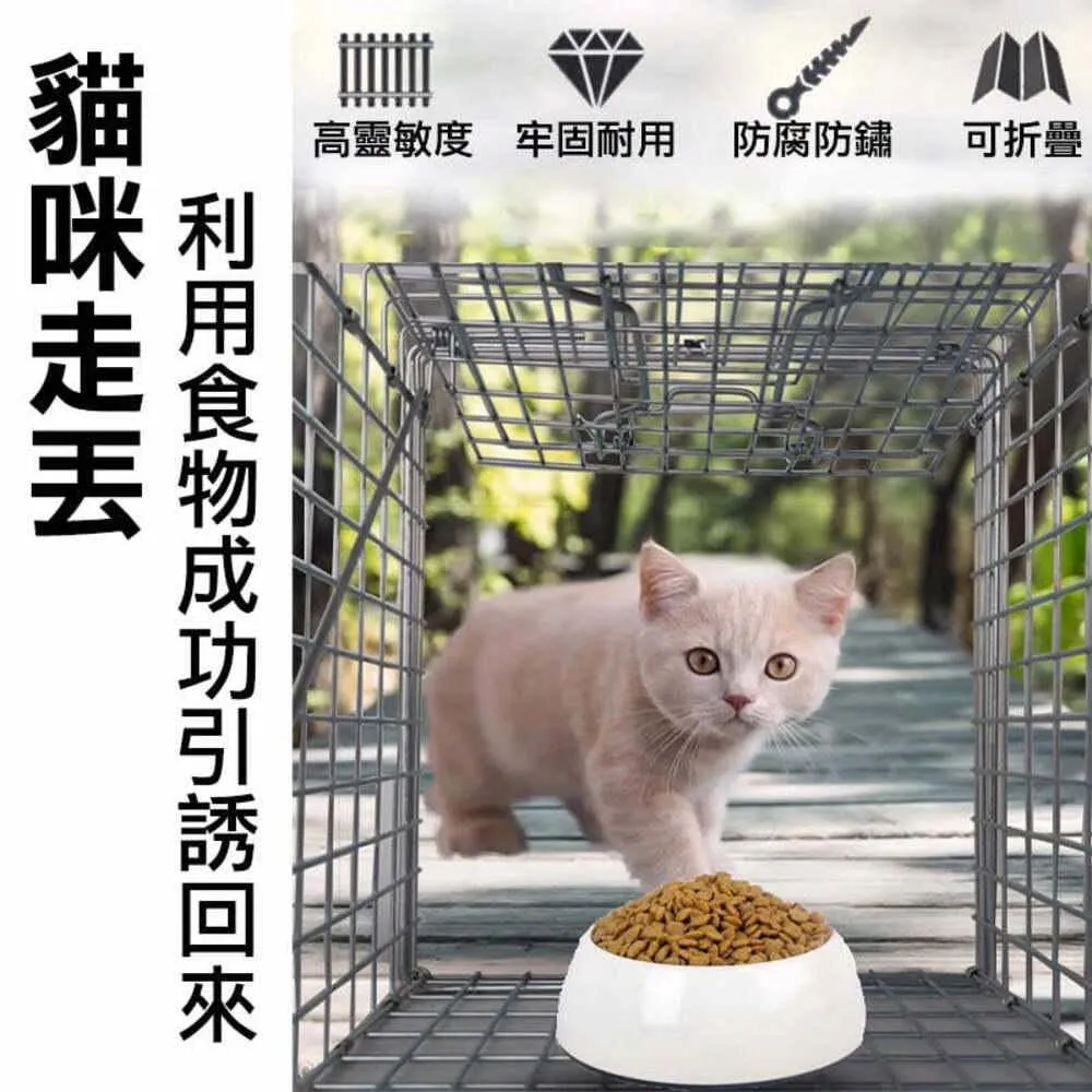 捕鼠籠 誘捕籠 捕鼠器 捕鼠夾 歷史價格詳細信息