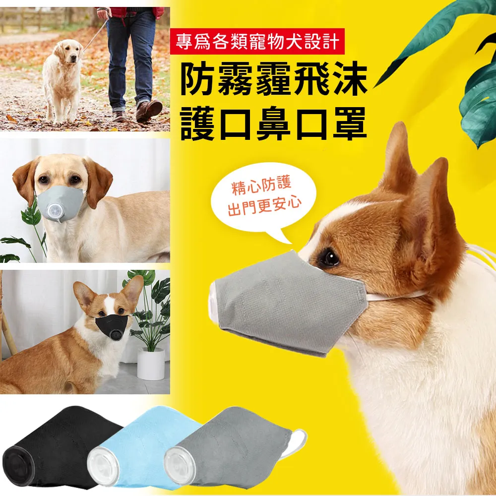 狗狗防塵褲小型犬四腳衣服防水泰迪比熊遛狗神器戶外防尿防臟腿套 歷史價格詳細信息